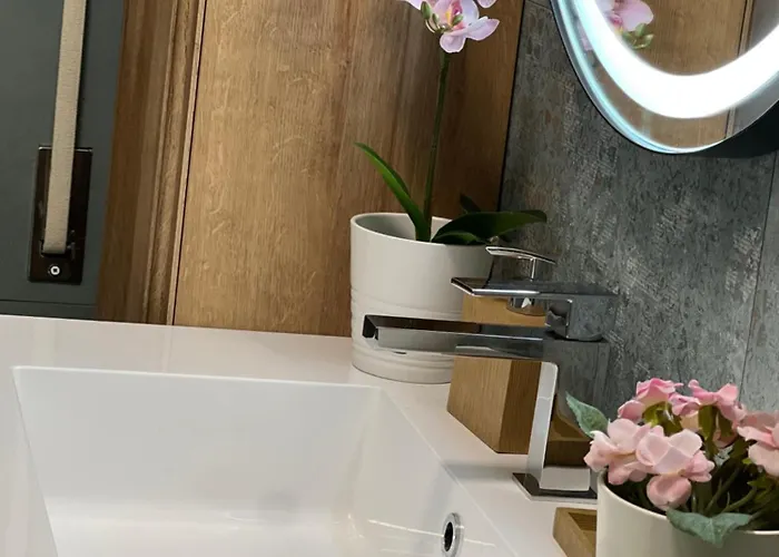 Apartment Plumbird Boutique & Rom